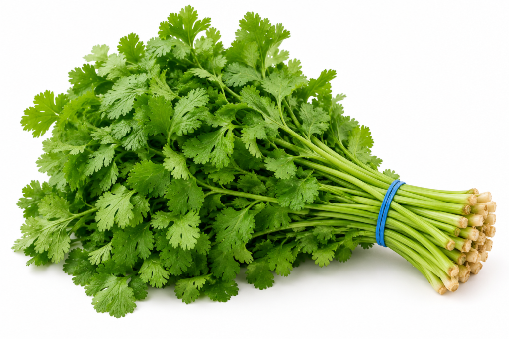 Cilantro Bunched 60ct 1/60ct