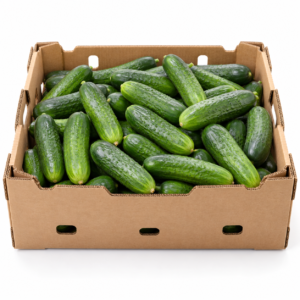 Cucumber Select Box 1/50lb