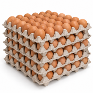 Eggs Loose XL 15dz 1/15dz