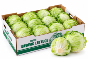 Lettuce Iceberg 1/24ct