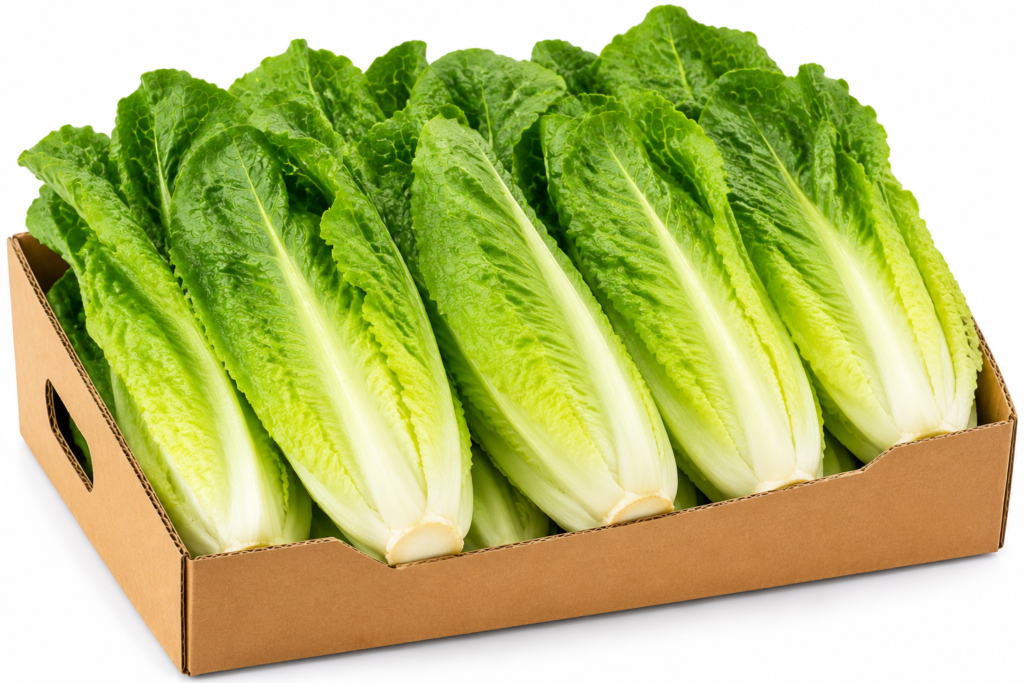 Lettuce Romaine Hearts 12ct 1/12ct